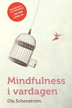 Mindfulness i vardagen - Ola Schenström