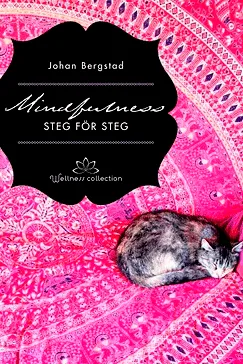 Mindfulness steg för steg - Johan Bergstad