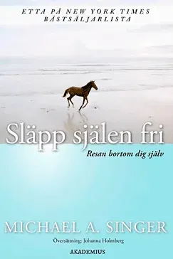 Släpp själen fri Släpp själen fri - Michael A. Singer